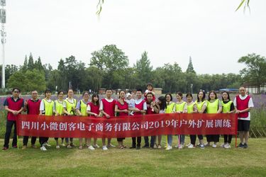 Çin Sichuan Small Minimally Invasive Passenger Ecommerce Ltd. Şirket Profili